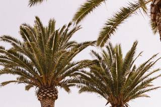 Claire Duran Weddings & Events - 14