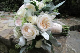 Blossom With Cheryl Ann - 31
