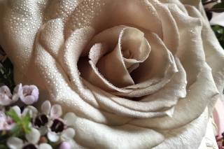 Flowers By Maggie - 19