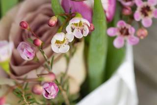 Erika Flugge Photography - 19