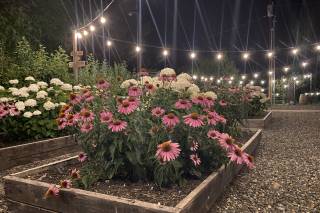 Brightside Vintage Farm - 9