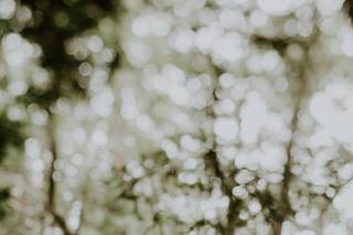 Joshua Rose Photography - 32