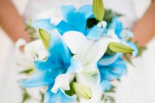 WedDesign - 52