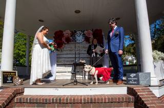Aviva Sala - Wedding Officiant - 22