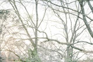 MICAH RILEY PHOTOGRAPHY - 29