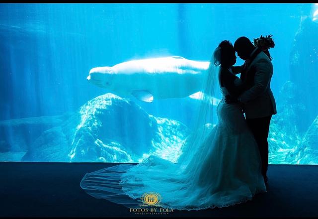 Georgia Aquarium - 3