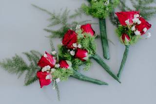 Fukushima Flowers - 62