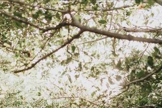 Danielle Love Photography - 24