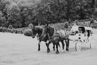 Chimney Pond Farm - 45