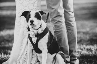 Vanessa Buholzer Photography - 7