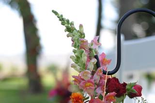 Sweetflower - 30