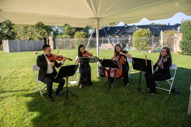 String Quartet of Northern Virginia 2