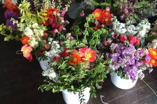 Snell Family Farm - 10