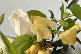 Twine Floral Co. - 28