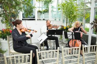 Consonance Music & Ensembles - 4