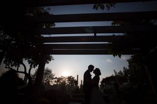 Susan Stripling Photography - 13