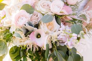 Damselfly Designs - 19