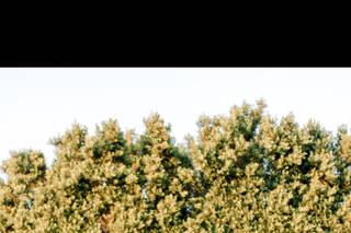 Brooke Magee Photography - 20