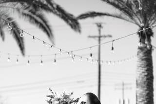 Maria Damian Photography + Videography - 29