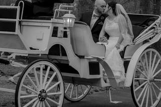 Diamonds & Tutus Photography - 6