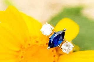 Brooke Tobin Photography - 11