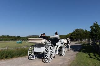 Old Glory Ranch - 36