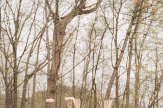 The Mustard Seed - 40