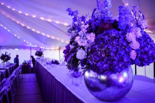 Phillip Gregory Photography - 39