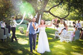 Tim Greenway Photography - 5