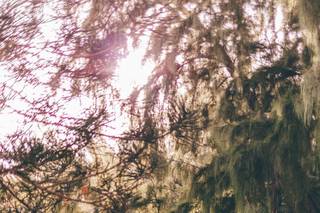 Keoni Michael Fine Art Weddings - 9