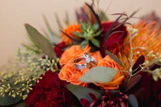 Cynthia Dalene Photography - 21