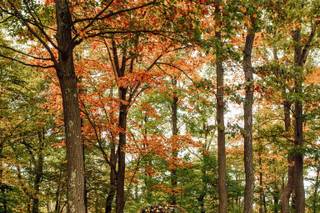 Seven Springs Mountain Resort - 8
