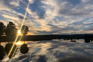 Alyson's Orchard - 17