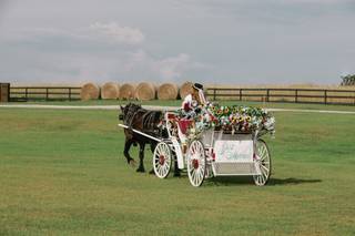 Classic Reflections Carriages - 5
