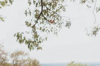 Casey Crowe Taylor Photography - 8