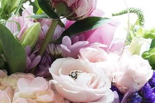 Jazzlyn Springs Photography - 5