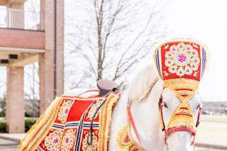 Willow Wind Carriage & Limousine Service - 5