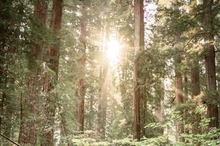 Julia Goldberg Photography - 19
