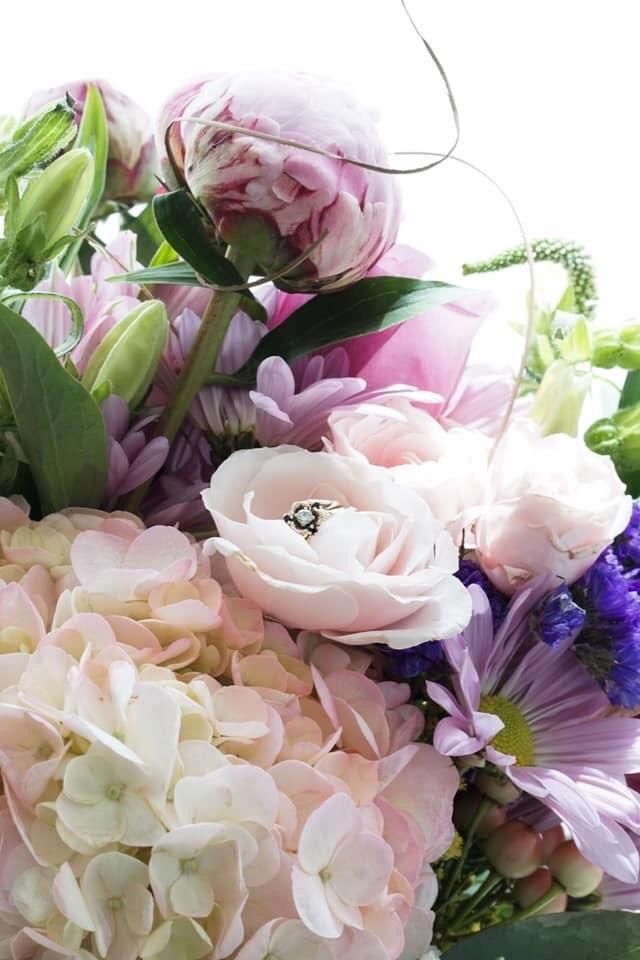 Jazzlyn Springs Photography - 2