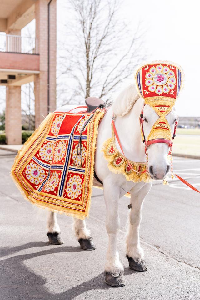 Willow Wind Carriage & Limousine Service - 2
