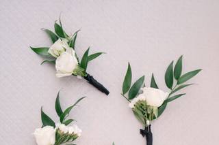 Bloom Culture Flowers - 24