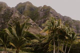 Kualoa Ranch - 59