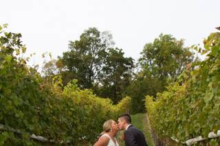 Grandview Vineyard - 7