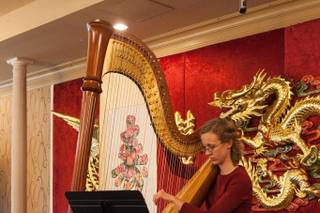 Brittany Burns, Harpist - 10