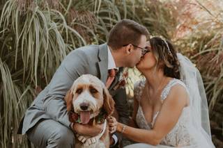 Wedding Puptials - 6