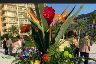 Marco Island Florist  Home & Gifts - 19