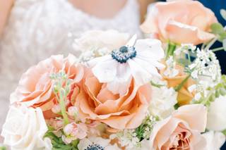 Taylor White Photography - 6
