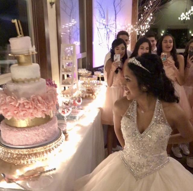 Scenic Springs by Wedgewood Weddings - 4
