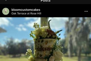 Bloom Custom Cakes - 111