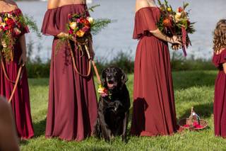 Brooke Ellen Photography - 9